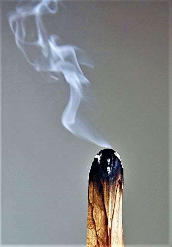 2 POUNDS Palo Santo Smudging Sticks, High Resin Palo Santo, Holy Wood. Premium Certified Authentic, Wild Harvested Incense Stick for Purifying, Cleansing, Healing, Meditation and Stress Relief