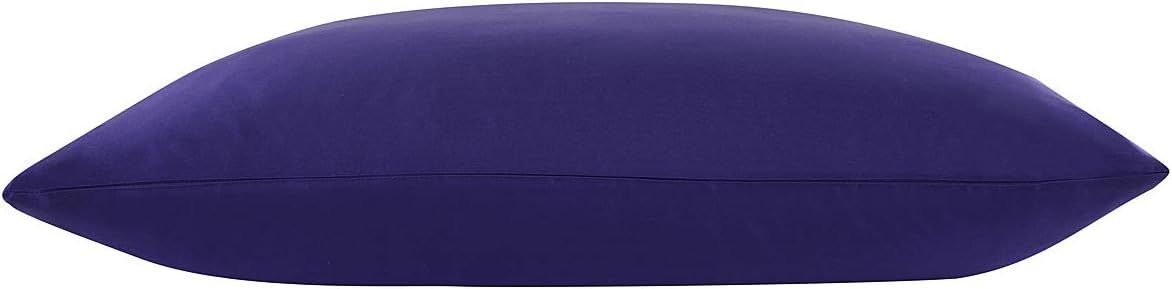 ALASKA BEAR Silk Pillowcase 100 Percent Mulberry Silk, Queen (1, Vibrant Purple)
