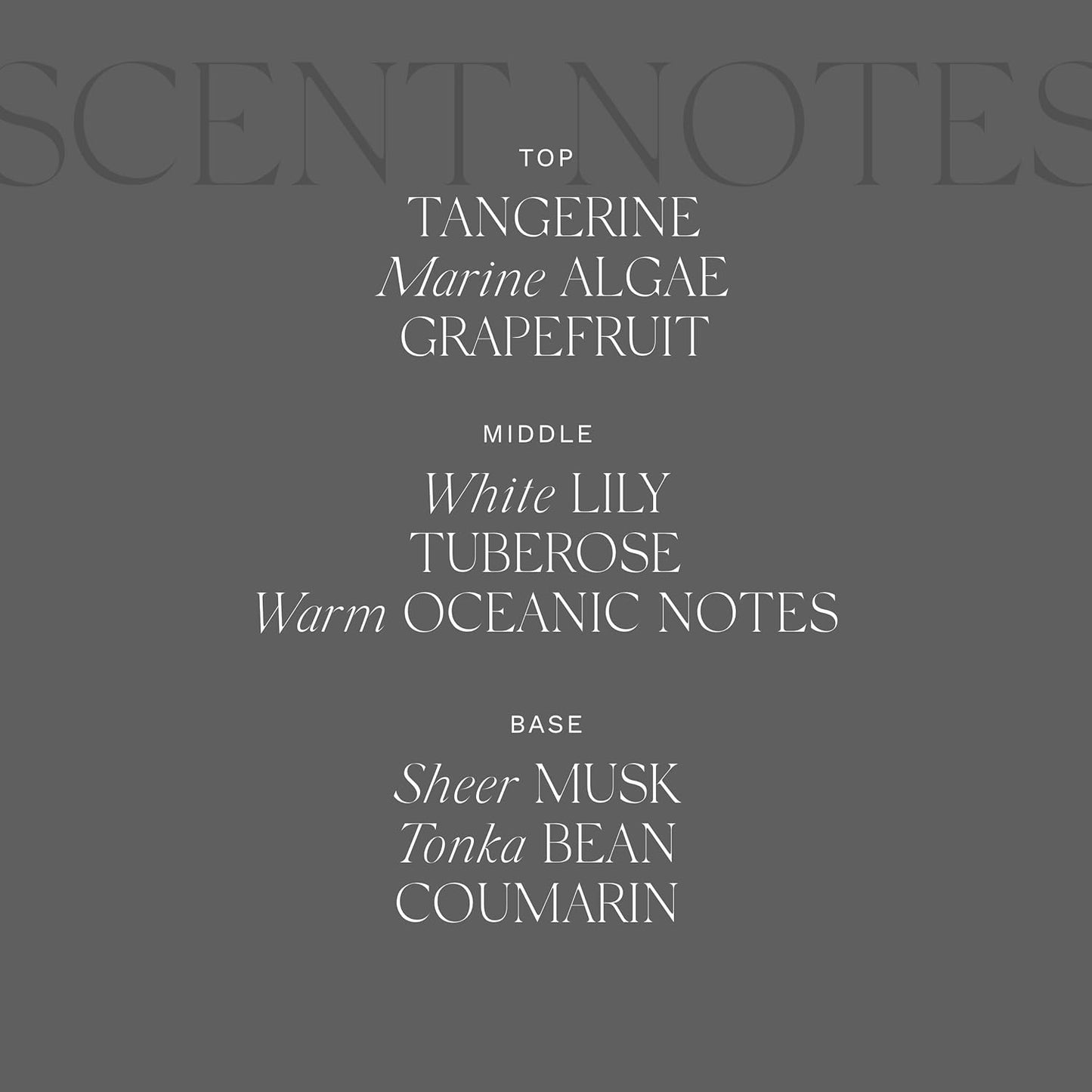 Antica Farmacista Home Ambiance Diffuser - Long-Lasting Reed Scent Diffuser - Luxury Room Freshener Gift - Acqua, 16.9 fl oz