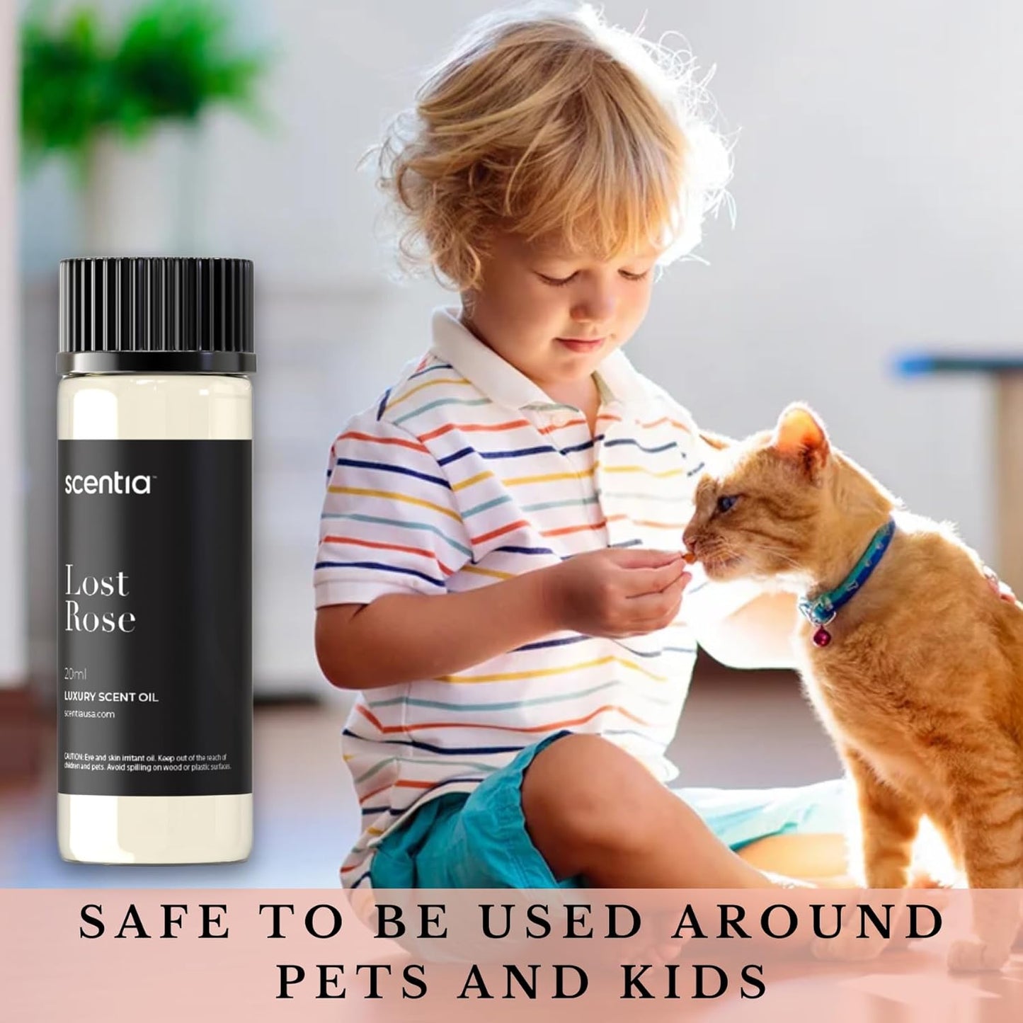 Scentia Hotel Diffuser Oil Inspired by Fairmont Hotel Scent - 20 mL 0.67 fl oz - Fragrance Oil Blend Rose, Oud Wood & Clove Notes for Aromatherapy Diffusers Humidifiers - Lost Rose, Thanksgiving Gift