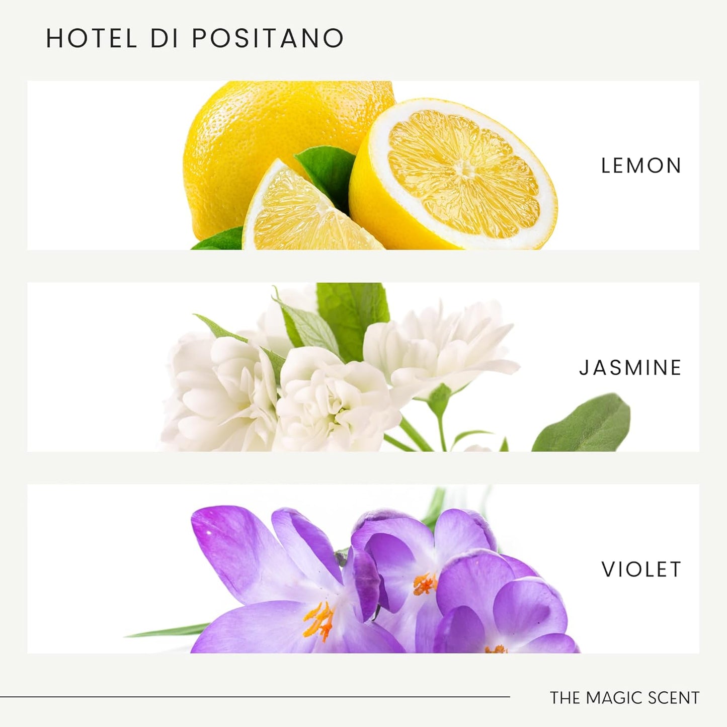 The Magic Scent Hotel Di Positano Diffuser Oil Scents - Cold-Air & Ultrasonic Fragrance Oil for Diffuser - Inspired by Amalfi Coast, Italy - Essential Oils for Diffusers - 8.5 fl oz, 250 mL