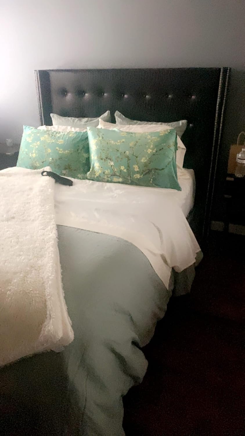 ALASKA BEAR Luxury Silk Pillowcase for Beauty Sleep, Genuine 22 Momme Mulberry Silk Charmeuse Satin Pillow Case Slip for Hair and Skin Face Wellness King Size (1pc, Gift Box)