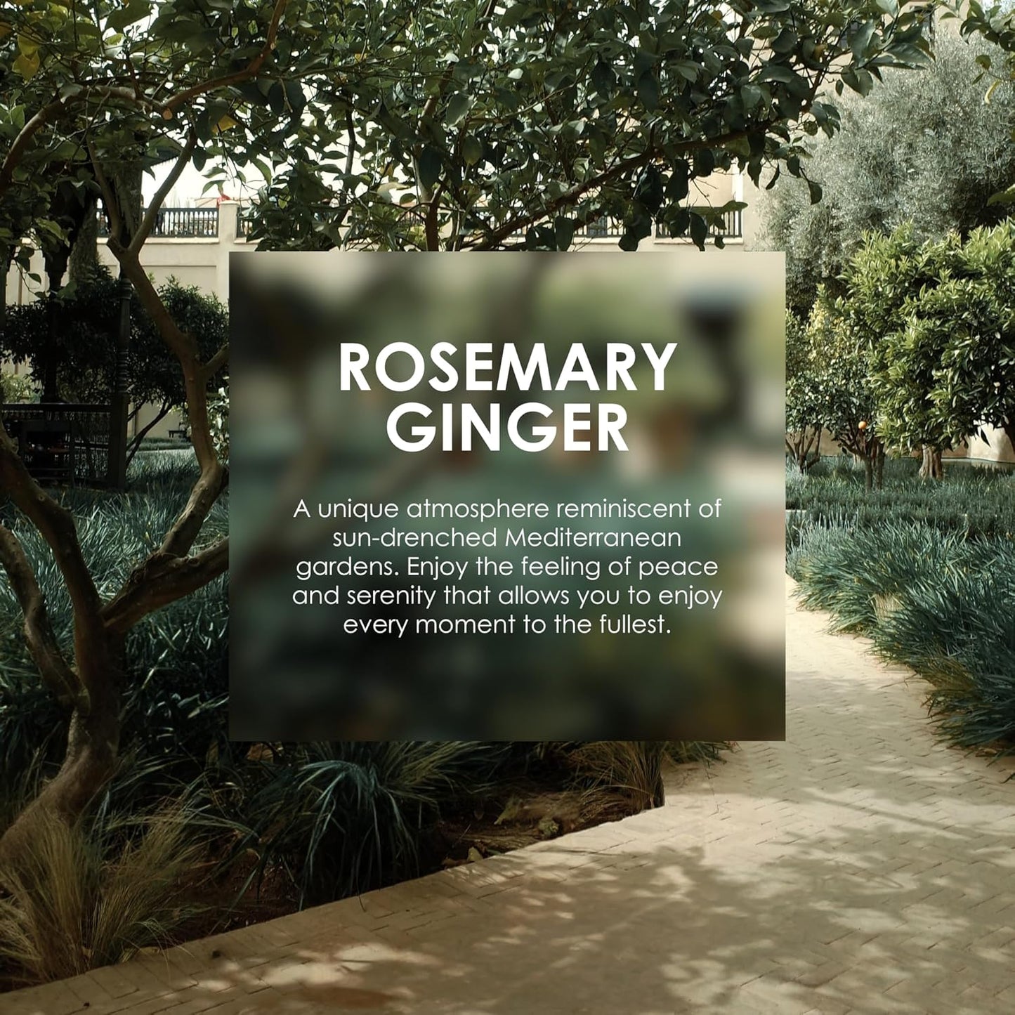 Jean & Len Melting Moisture Body Treatment Rosemary & Ginger, for a fragrant care result, for normal skin, nourishing body butter, without parabens & silicones, 6.76 Fl. Oz.