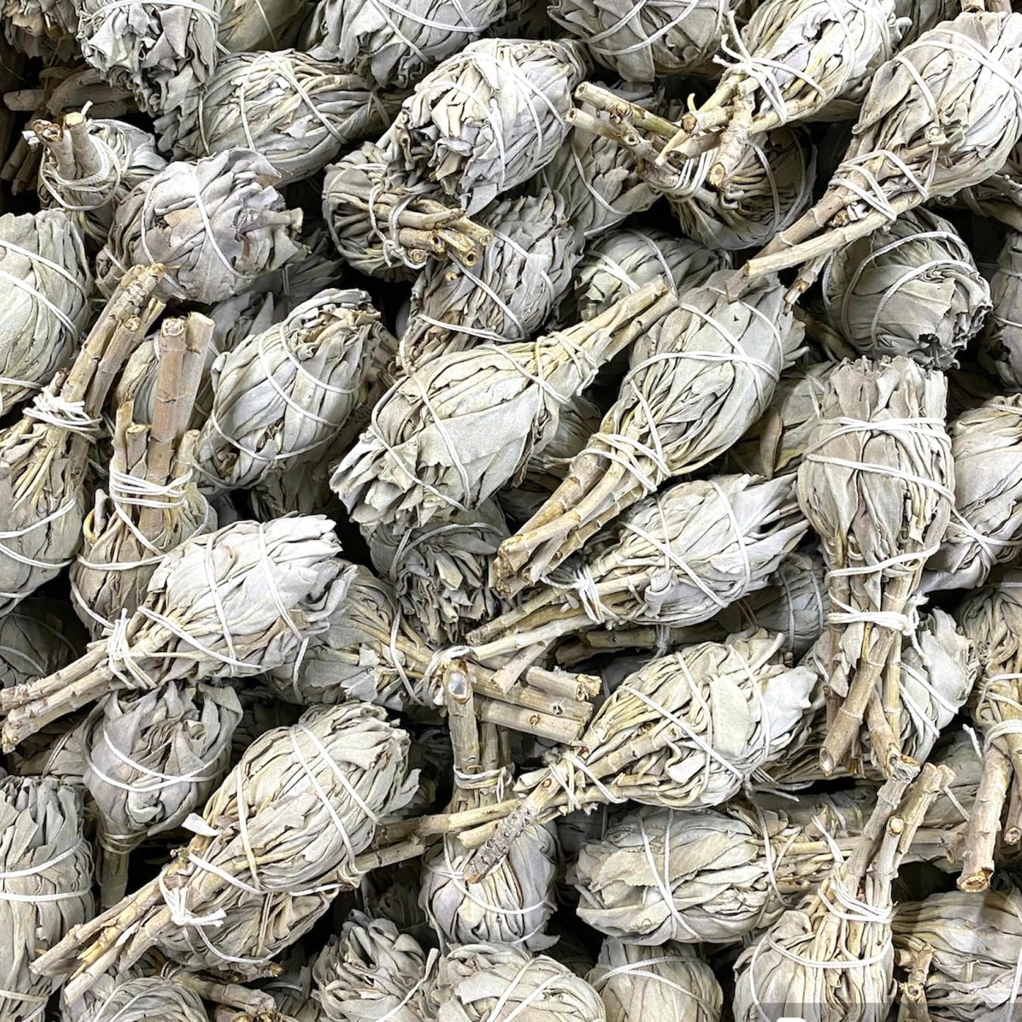 NessaStores 1 California White Sage Smudge Stick, 3 to 4 Inch Hand Tied, All Natural for Home Cleansing, Stress Relief, & Clearing Negative Energy JC-005