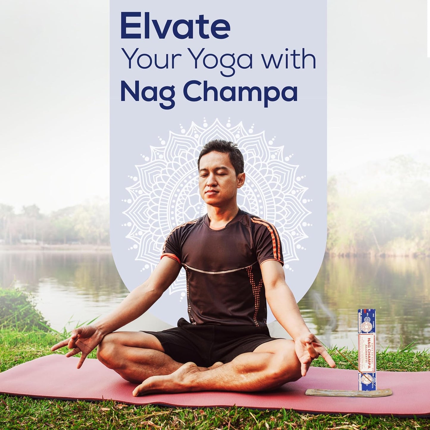 Raajsee Incense Stick Holder Bundle with Satya Nag Champa Incense Sticks 250 gmx 2 Pack (500 GMS), Insense Sticks Nag Champa Agarbatti