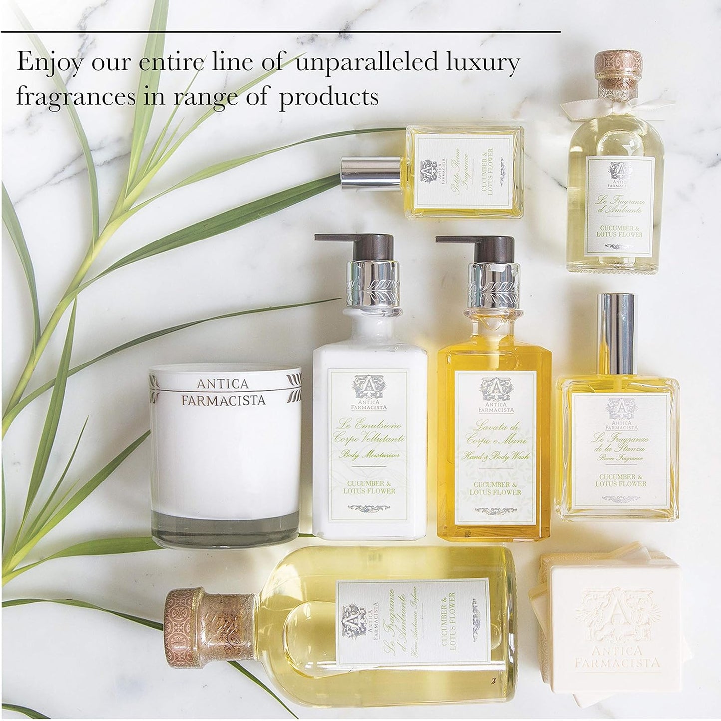 Antica Farmacista Hand & Body Wash - Luxury Nourishing Body Wash - Hydrating Hand Cleansing Wash - Bath & Body Gift - Lemon, Verbena & Cedar, 10 fl oz