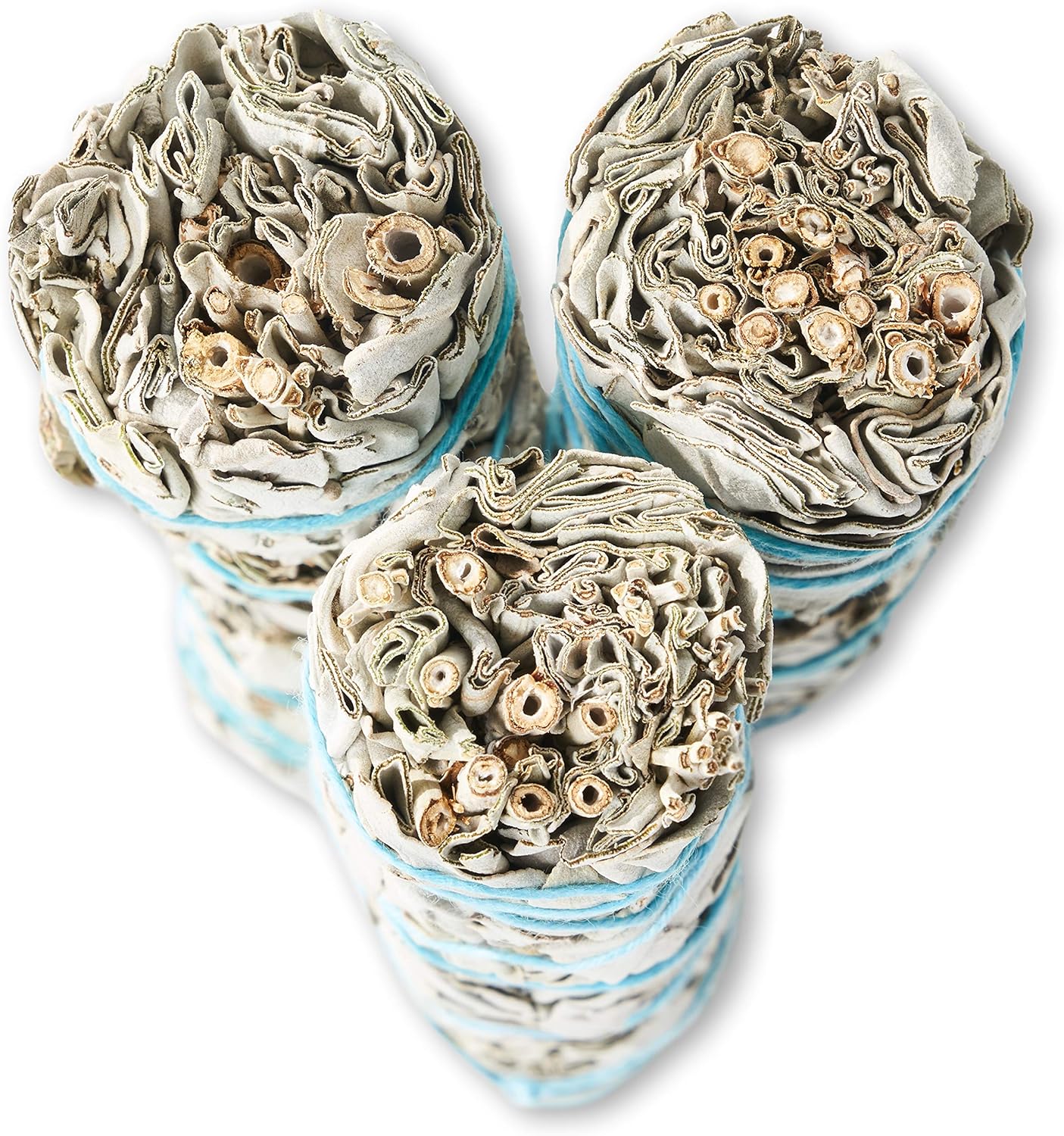 9-Inch White Sage Smudge Sticks ~ Sustainably Harvested ~ for Smudging & Cleansing ~ Instructions Included (6 Pack)
