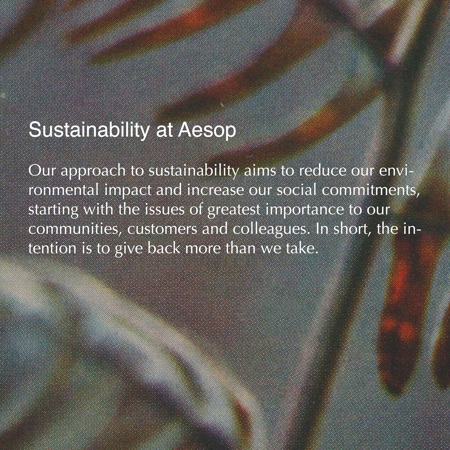 Aesop Istros Aromatique Room Spray | Non-Aerosol Air Freshener | Vibrant, Floral, Smoky | Aroma for Several Hours | 3.4 oz / 100mL