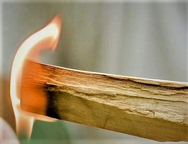 2 POUNDS Palo Santo Smudging Sticks, High Resin Palo Santo, Holy Wood. Premium Certified Authentic, Wild Harvested Incense Stick for Purifying, Cleansing, Healing, Meditation and Stress Relief