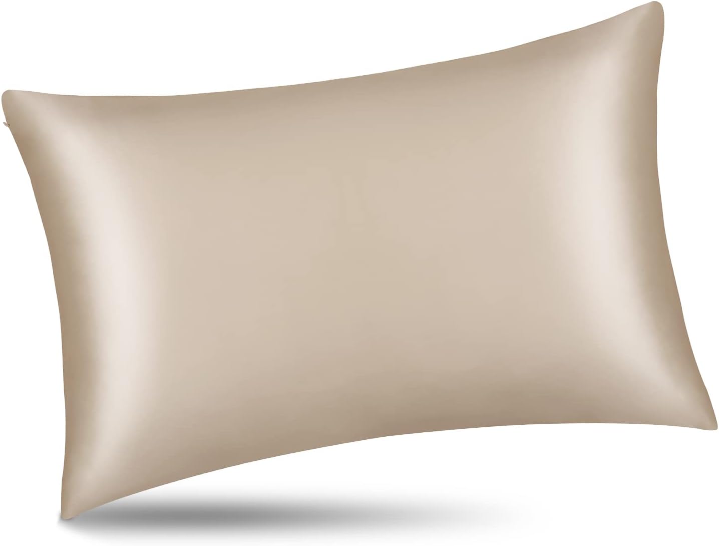 ALASKA BEAR Natural Silk Pillowcase, Hypoallergenic, 19 Momme, 600 Thread Count 100 Percent Mulberry Silk, Queen Size with Hidden Zipper (1,Champagne Gold)