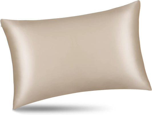 ALASKA BEAR Natural Silk Pillowcase, Hypoallergenic, 19 Momme, 600 Thread Count 100 Percent Mulberry Silk, Queen Size with Hidden Zipper (1,Champagne Gold)