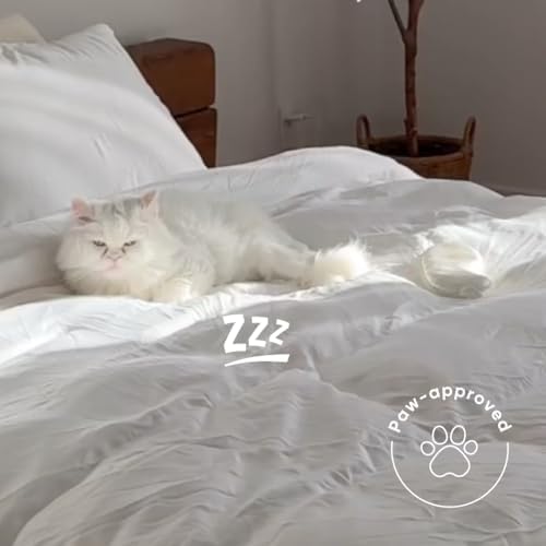 Vesta All-Season Silk Comforter, Quilt and Duvet Insert for Hot Sleepers, 100% Silk Fill with 100% Cotton Shell, Luxuriously Soft, Moisture-Wicking, King Size (White, Silk Weight: 3.7lbs)