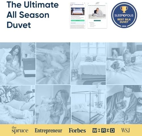 Vesta All-Season Silk Comforter, Quilt and Duvet Insert for Hot Sleepers, 100% Silk Fill with 100% Cotton Shell, Luxuriously Soft, Moisture-Wicking, Queen Size (Grey, Silk Weight: 3.2lbs)