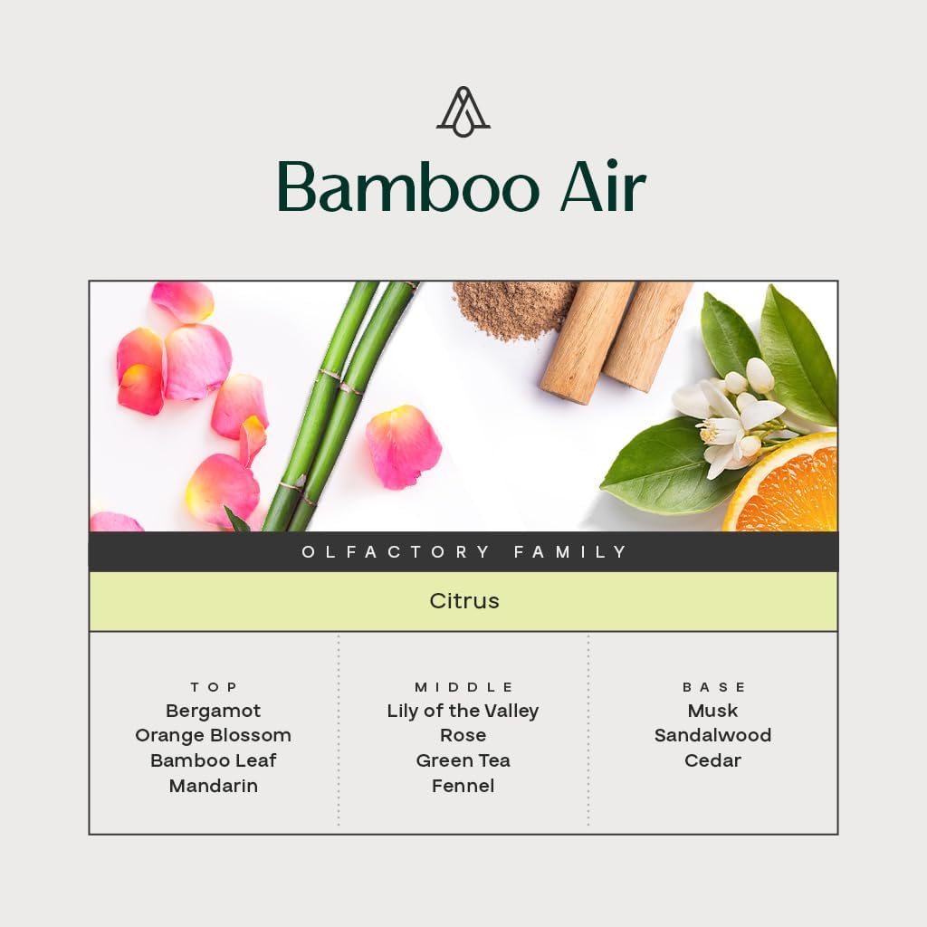 AromaPlan Natural Room Spray & Car Fragrance Kit, Bamboo - Concentrated, Non-Toxic, Odor Eliminator & Long Lasting- Room Spray Air Freshener-Home, Car - 5 Star Hotel Scent Fragrance (100&30 ml)