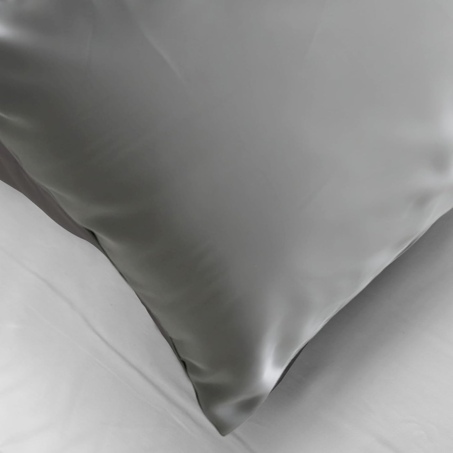 Mulberry Silk Pillowcase for Hair and Skin, Luxury Double Sided Pure Silk Pillowcase, 29x19 Inches, 1Pc (Silver Gray)