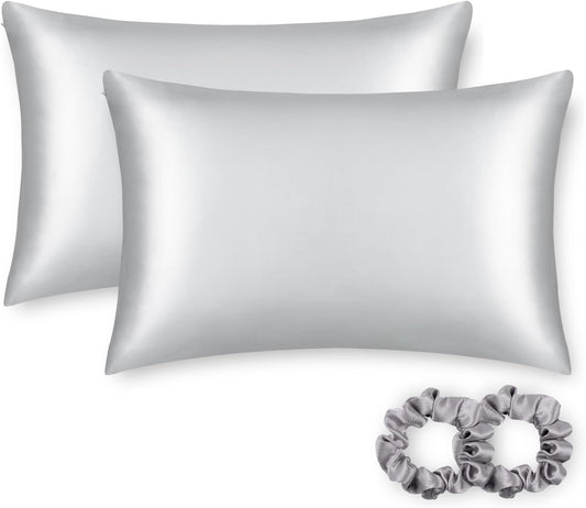 ALASKA BEAR Silk Pillowcase for Hair and Skin, Set of 2 Pure Genuine 22 Momme Mulberry Silk Pillow Cases King Size for Bliss Sleep Better Than Poly Satin, Zipper Closure(2pc, Silver)