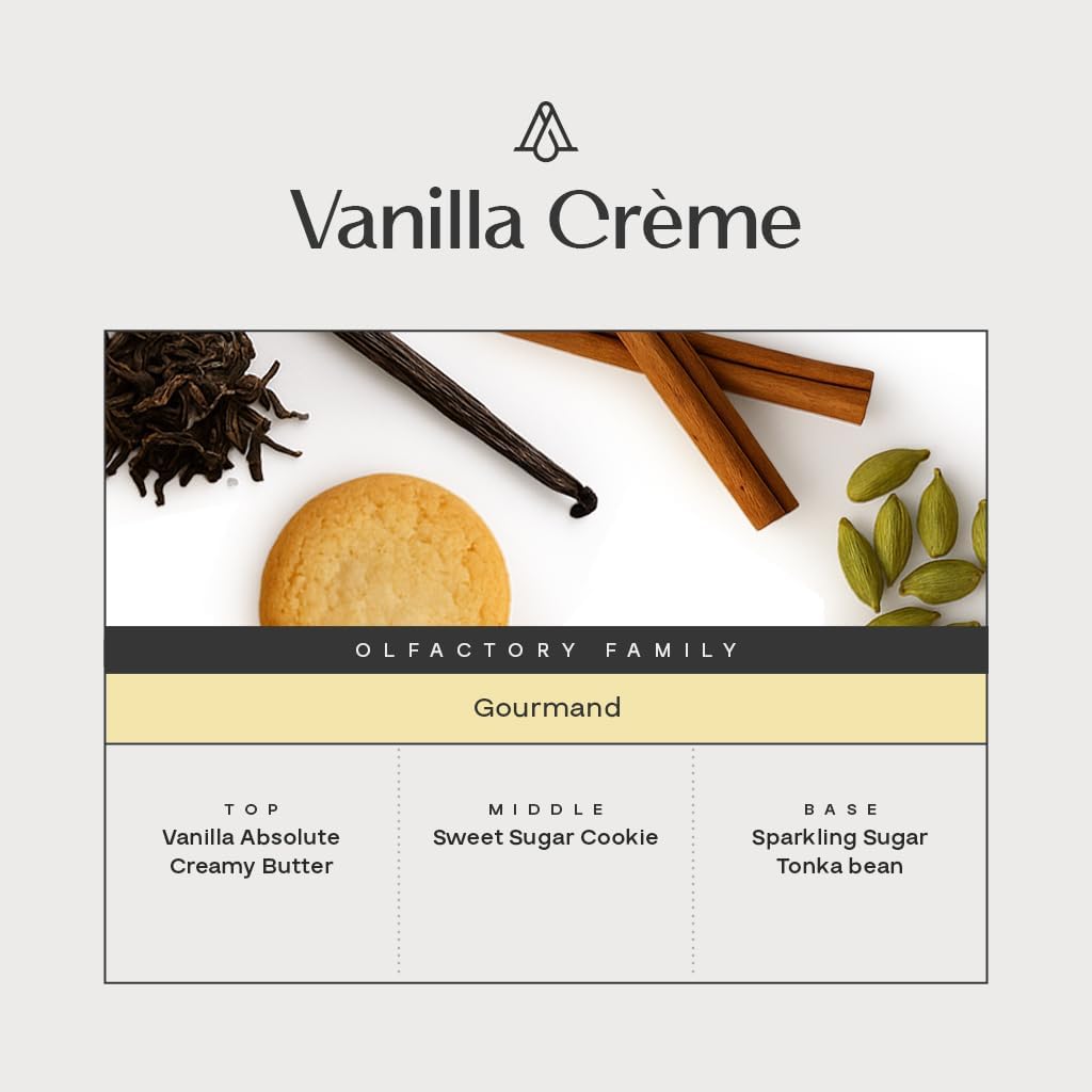 AromaPlan Fragrance Oil Vanilla Crème 5 Fl Oz (148ml) Winter Collection | Luxury Hotel Scent Diffuser Oil | Hotel, Home & Spa | Non-Toxic, Made in USA - Bigger Bottle, Bolder Aroma & Longer Lasting
