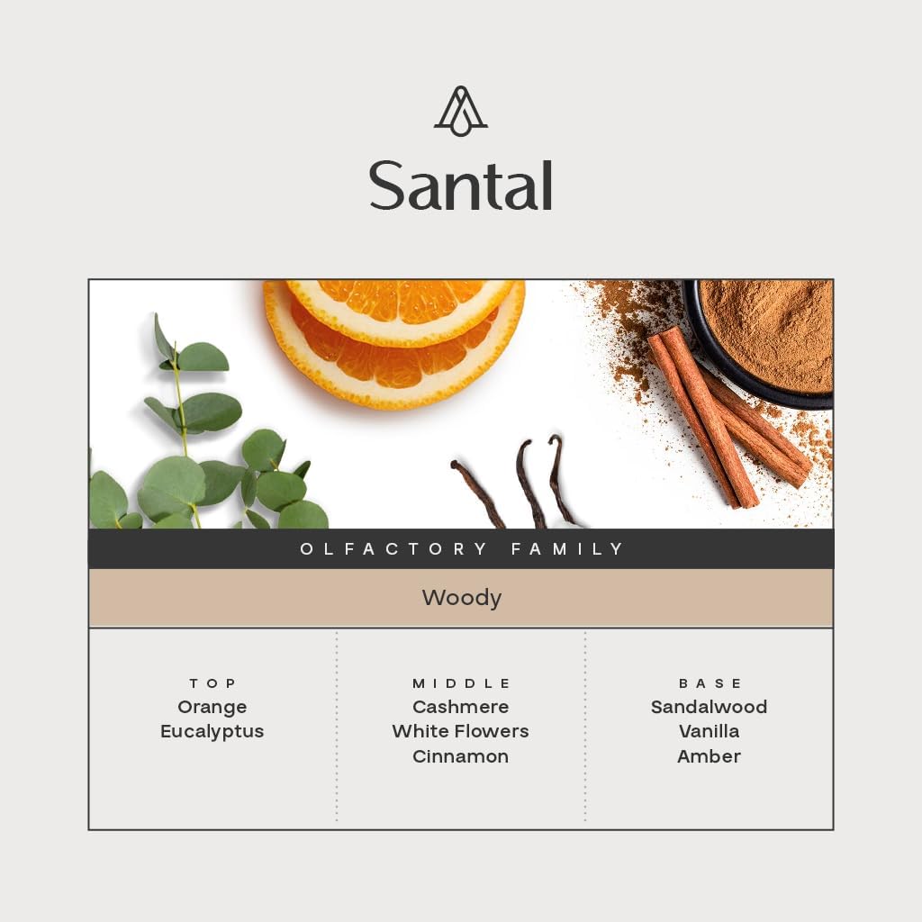 AromaPlan Natural Santal Room Spray & Car Fragrance Kit-Concentrated, Non-Toxic, Odor Eliminator & Long Lasting- Room Spray Air Freshener-Home, Car, Fabrics- 5 Star Hotel Scent Fragrance (100&30 ml)