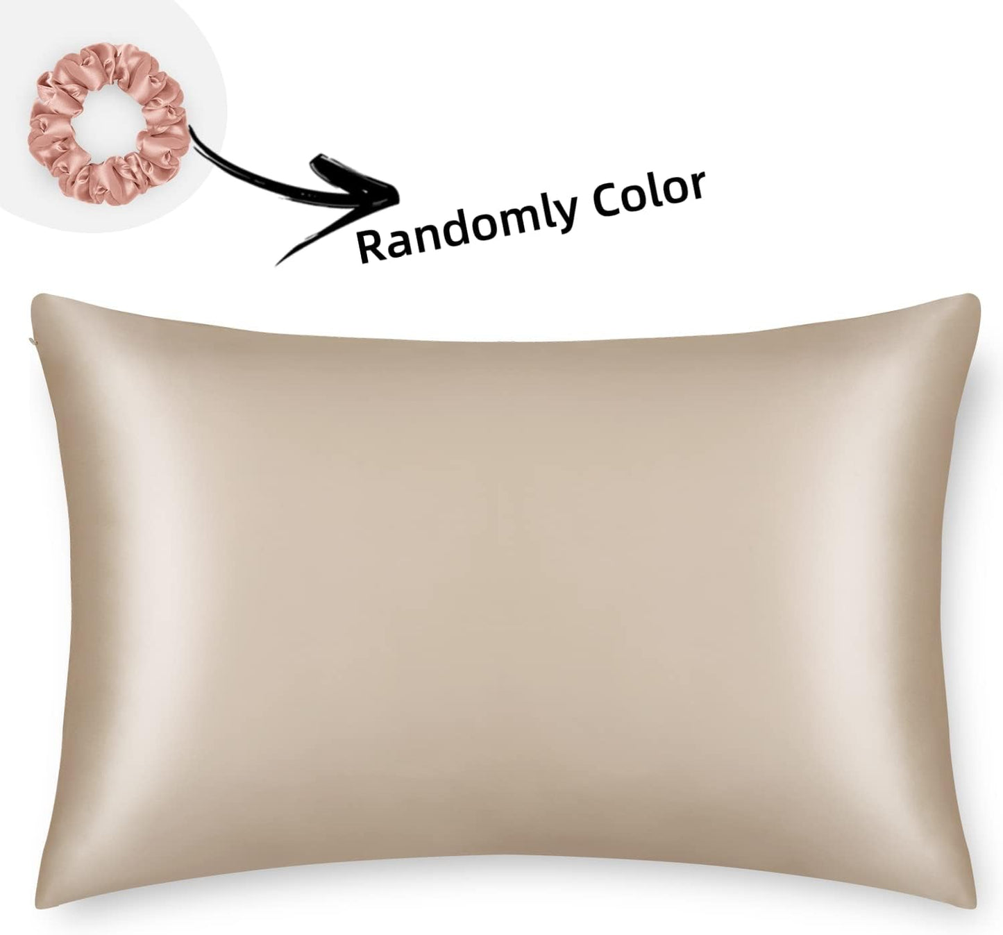 ALASKA BEAR Natural Silk Pillowcase, Hypoallergenic, 19 Momme, 600 Thread Count 100 Percent Mulberry Silk, Queen Size with Hidden Zipper (1,Champagne Gold)