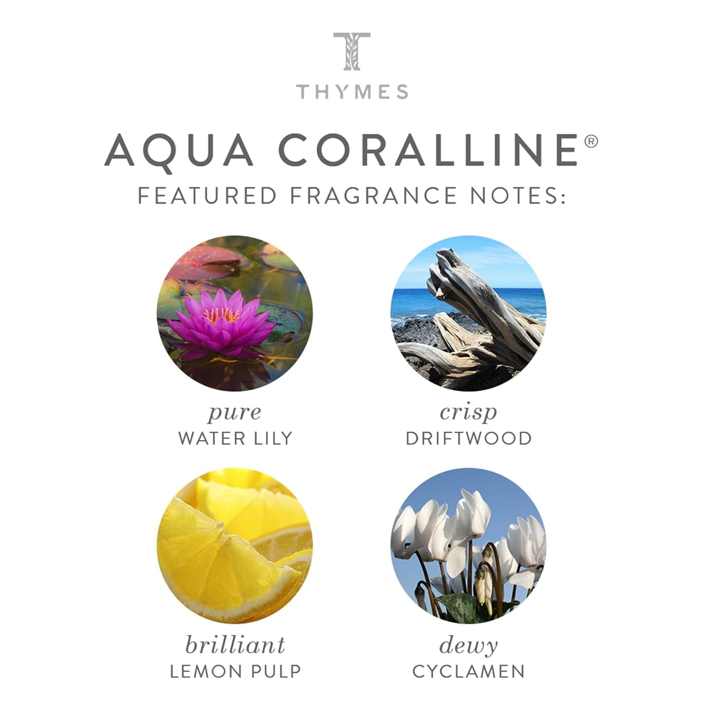 Thymes Hand Cream - 3 Fl Oz - Aqua Coralline