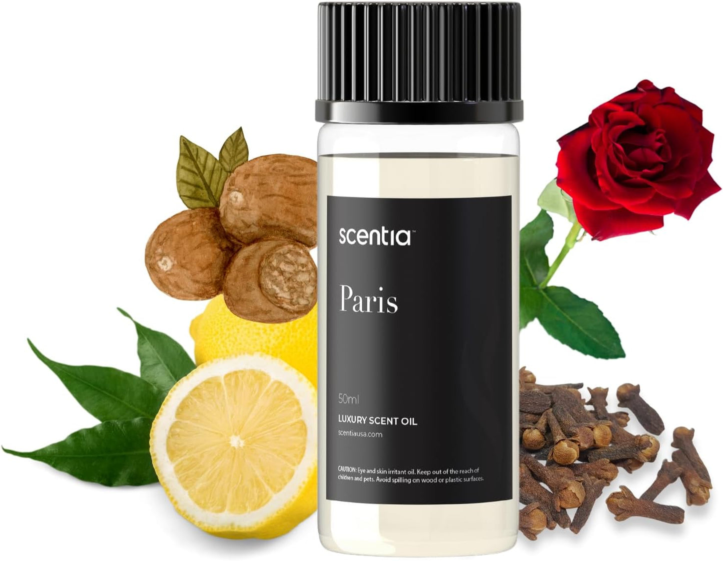Scentia Hotel Diffuser Oil Inspired by The Hotel Costes Paris Scent - 50 mL 1.69 fl oz - Fragrance Oil Blend Rose, Clove & Sandalwood for Aromatherapy Diffuser & Humidifiers -Paris, Thanksgiving Gift
