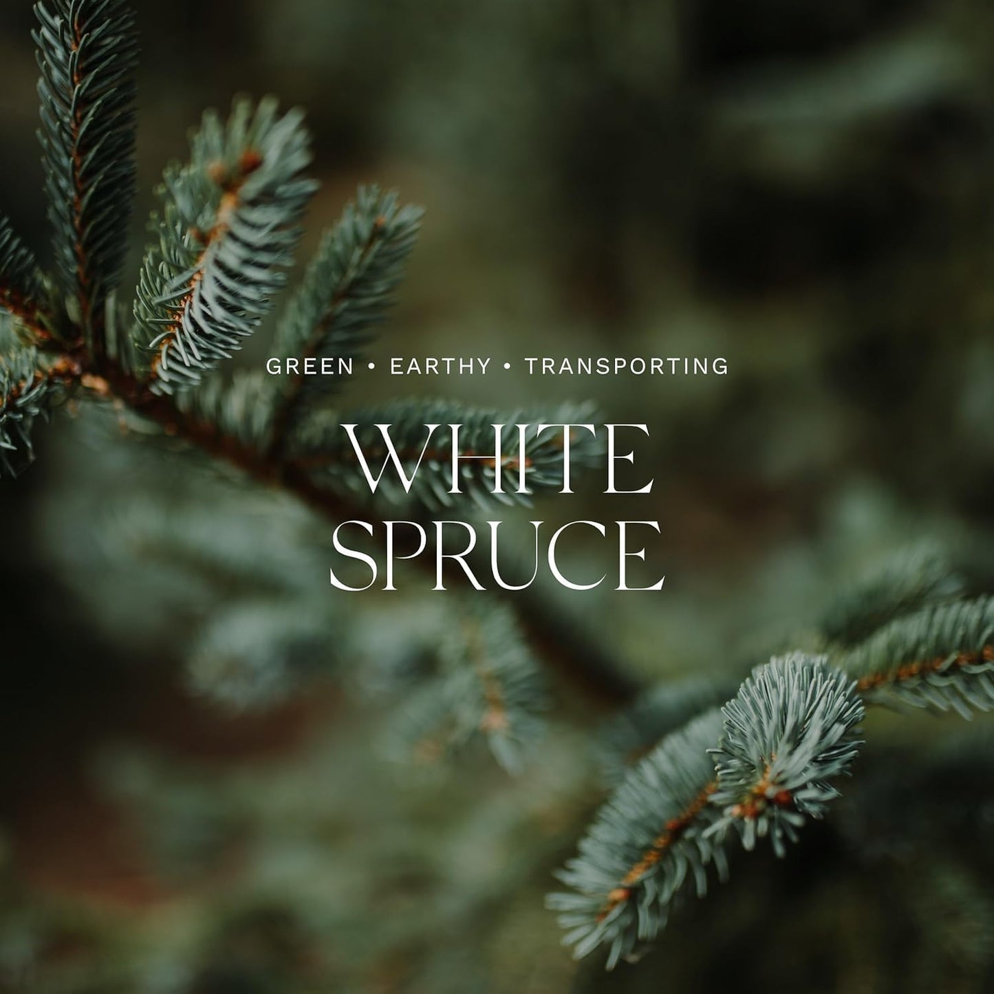 Antica Farmacista Three-Wick Candle - Decorative Home Candle - Long-Lasting & Premium Scented - Luxury Gift -