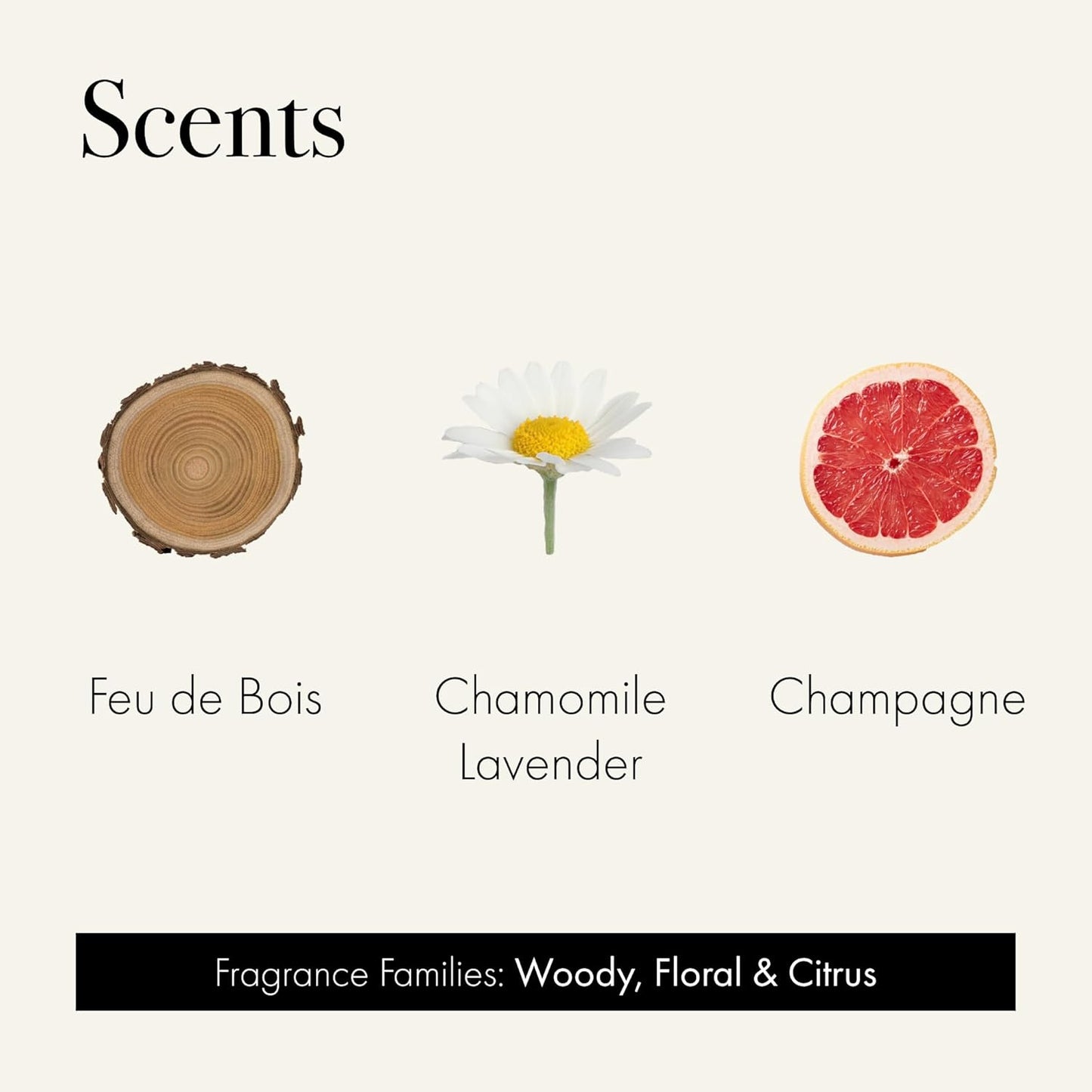 LAFCO New York Discovery Trio Best Sellers: Chamomile Lavender, Champagne & Feu de Bois - 3 Fragranced Candle Sample Tins - 4-Hour Burn Time Each - Made in The USA