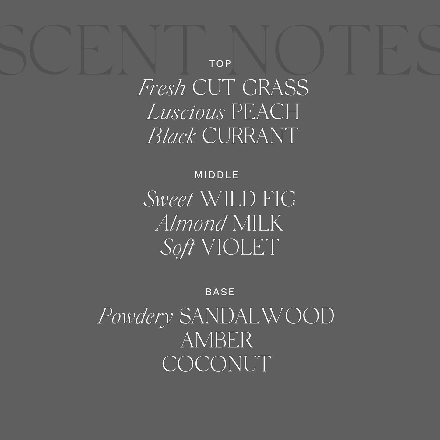 Antica Farmacista Luxury Scent Candle - Decorative Home Candle - Long-Lasting & Premium Scented - Luxury Gift - Fig Leaf, 9 oz