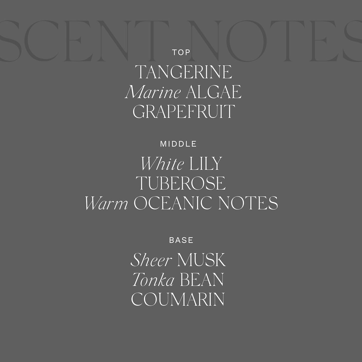 Antica Farmacista Luxury Scent Candle - Decorative Home Candle - Long-Lasting & Premium Scented - Luxury Gift - Acqua, 9 oz