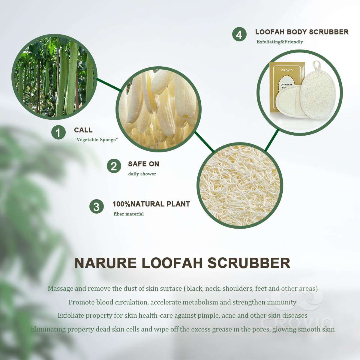 Natural Loofah Exfoliating Body Scrubber, Made with Natural Shower Loofah Sponge for Men and Women’s SPA (Pack of 2)