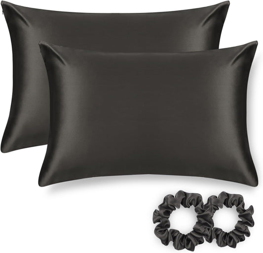 ALASKA BEAR Silk Pillowcase for Hair and Skin, Set of 2 Pure Genuine 22 Momme Mulberry Silk Pillow Cases Standard Size for Bliss Sleep Better Than Poly Satin, Zipper Closure(2pc, Charcoal)