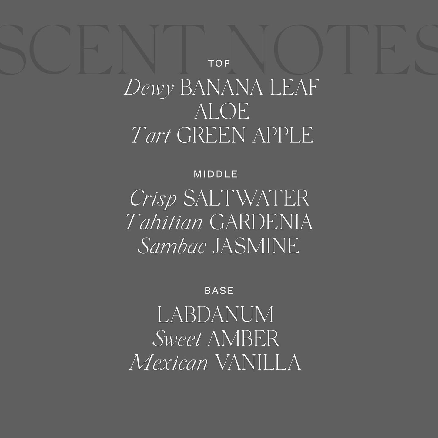 Antica Farmacista Luxury Scent Candle - Decorative Home Candle - Long-Lasting & Premium Scented - Luxury Gift - Lush Palm, 9 oz