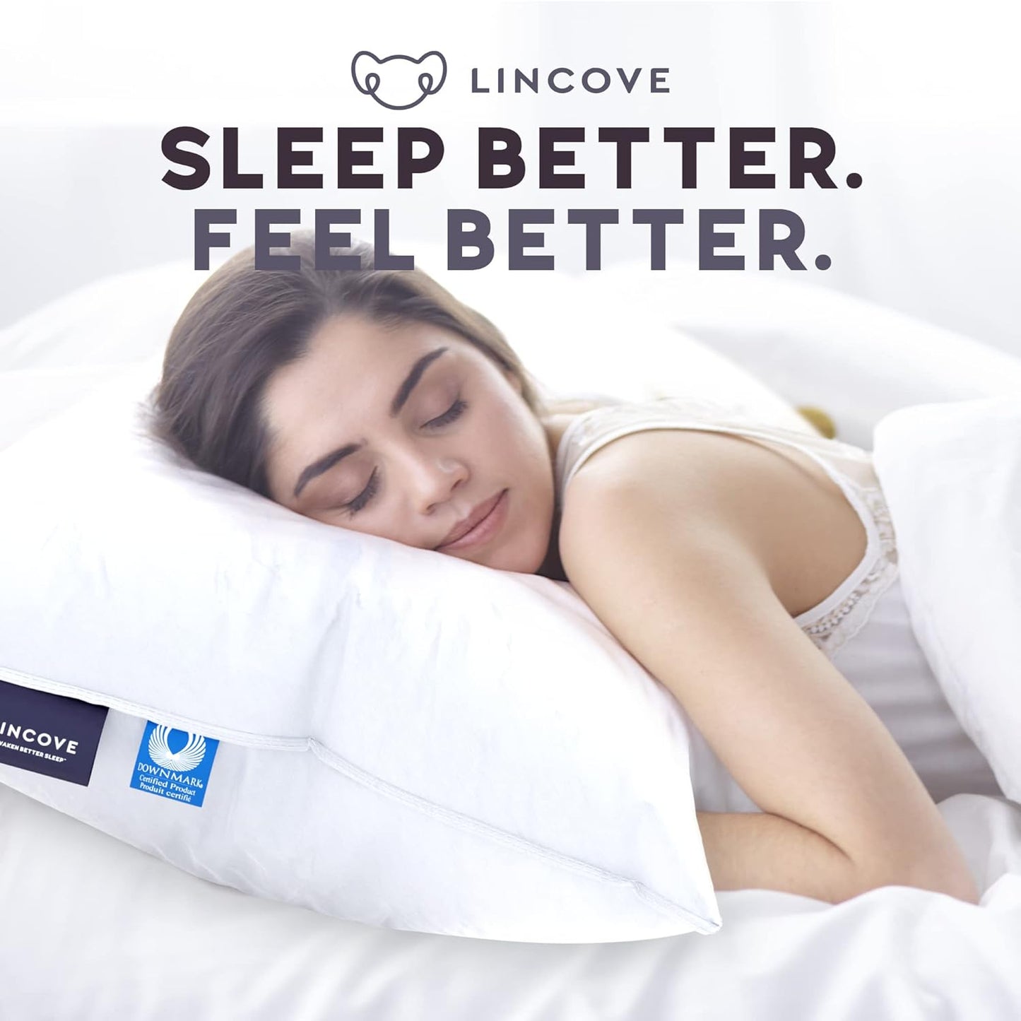 Lincove Signature 100% Natural Canadian White Down Luxury Sleeping Pillow - 800 Fill Power, 500 Thread Count Cotton Shell, Made in Canada, Queen - Firm, 2 Pack