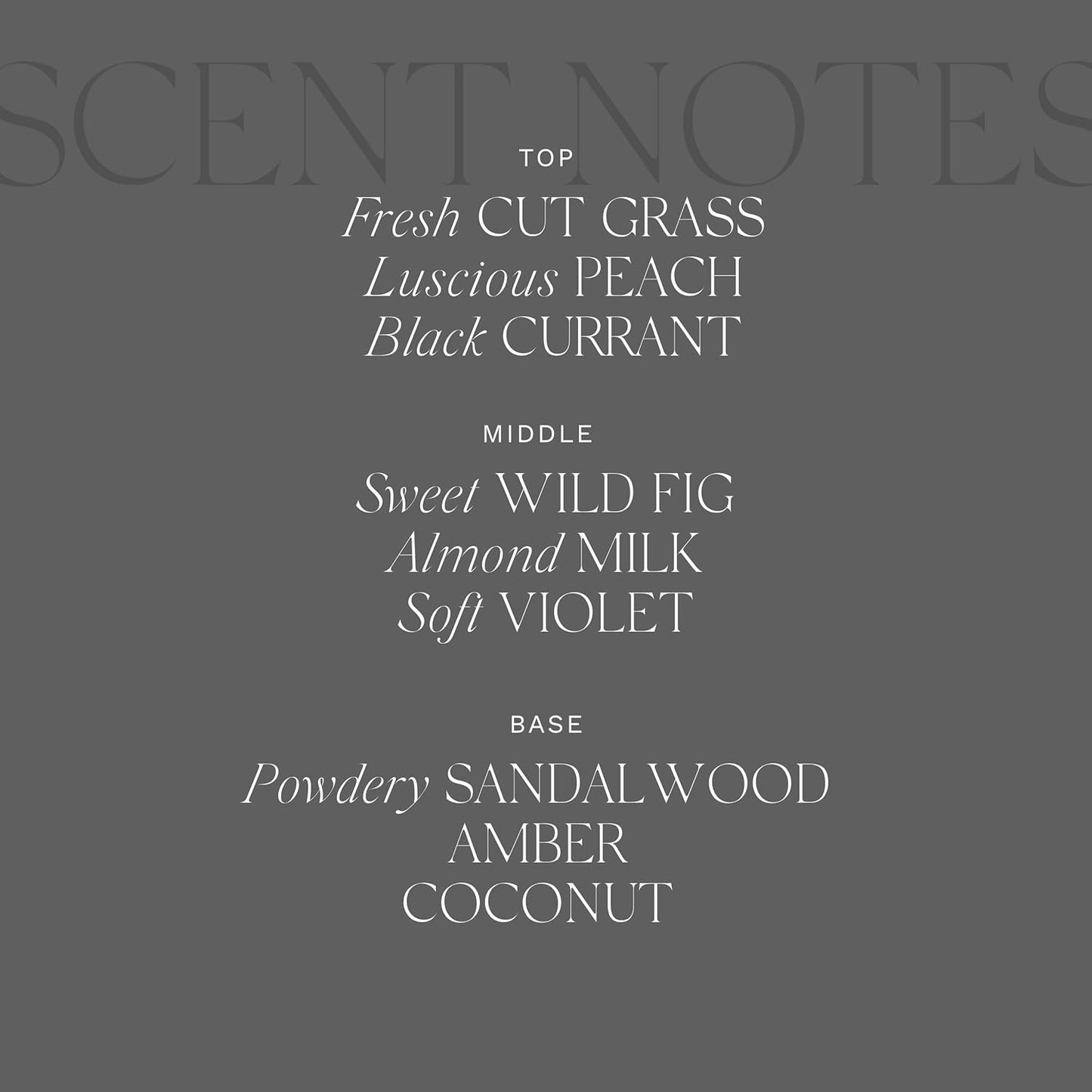 Antica Farmacista Home Ambiance Diffuser - Long-Lasting Reed Scent Diffuser - Luxury Room Freshener Gift - Fig Leaf, 16.9 fl oz