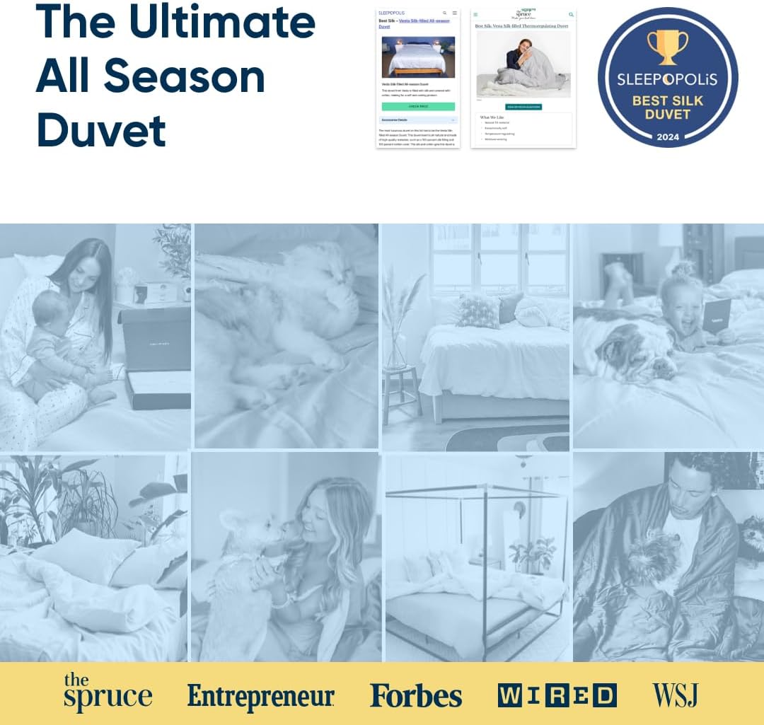 Vesta All-Season Silk Comforter, Quilt and Duvet Insert for Hot Sleepers, 100% Silk Fill with 100% Cotton Shell, Luxuriously Soft, Moisture-Wicking, King Size (Grey, Silk Weight: 3.7lbs)