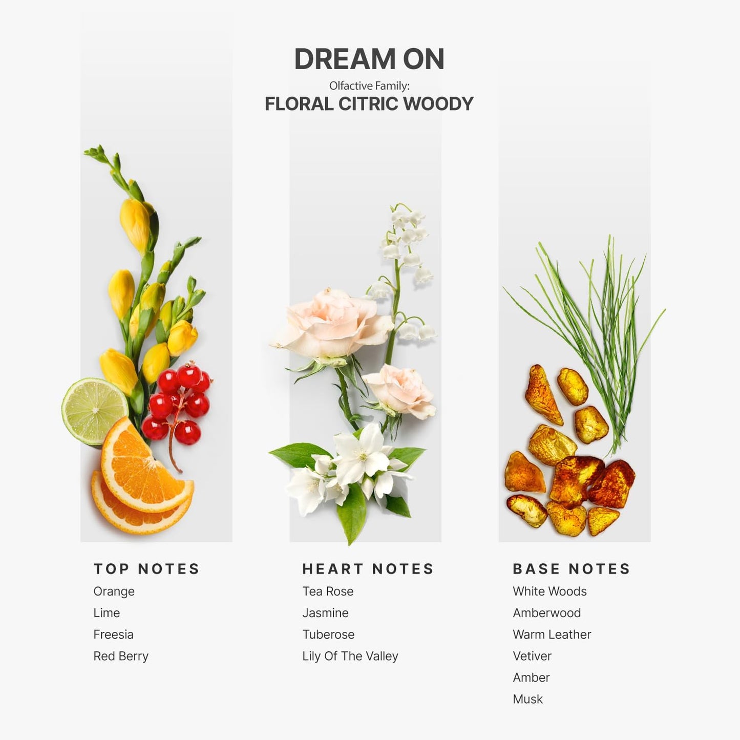 AromaPlan Hotel Scents Dream On 5 Fl Oz (148ml), Home Luxury Aroma & Hotel Fragrance Diffuser Oil- Hotel Diffuser Oil for Aromatherapy- USA Made, Bigger Bottle, Bolder Aroma & Longer Lasting