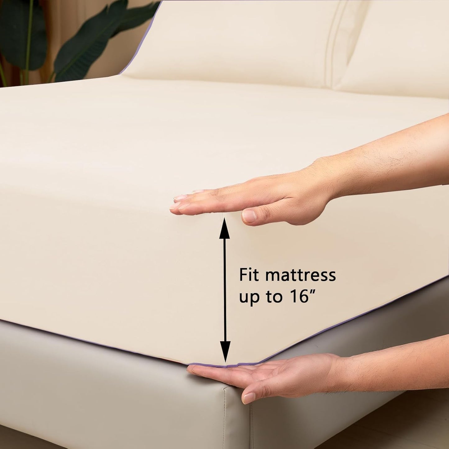 Mejoroom King Size Sheet Set - Soft Microfiber Bed Sheets,Deep Pocket Fitted Sheet, Soft, Breathable, Wrinkle & Fade Resistant - 4 Piece (King, Cream)