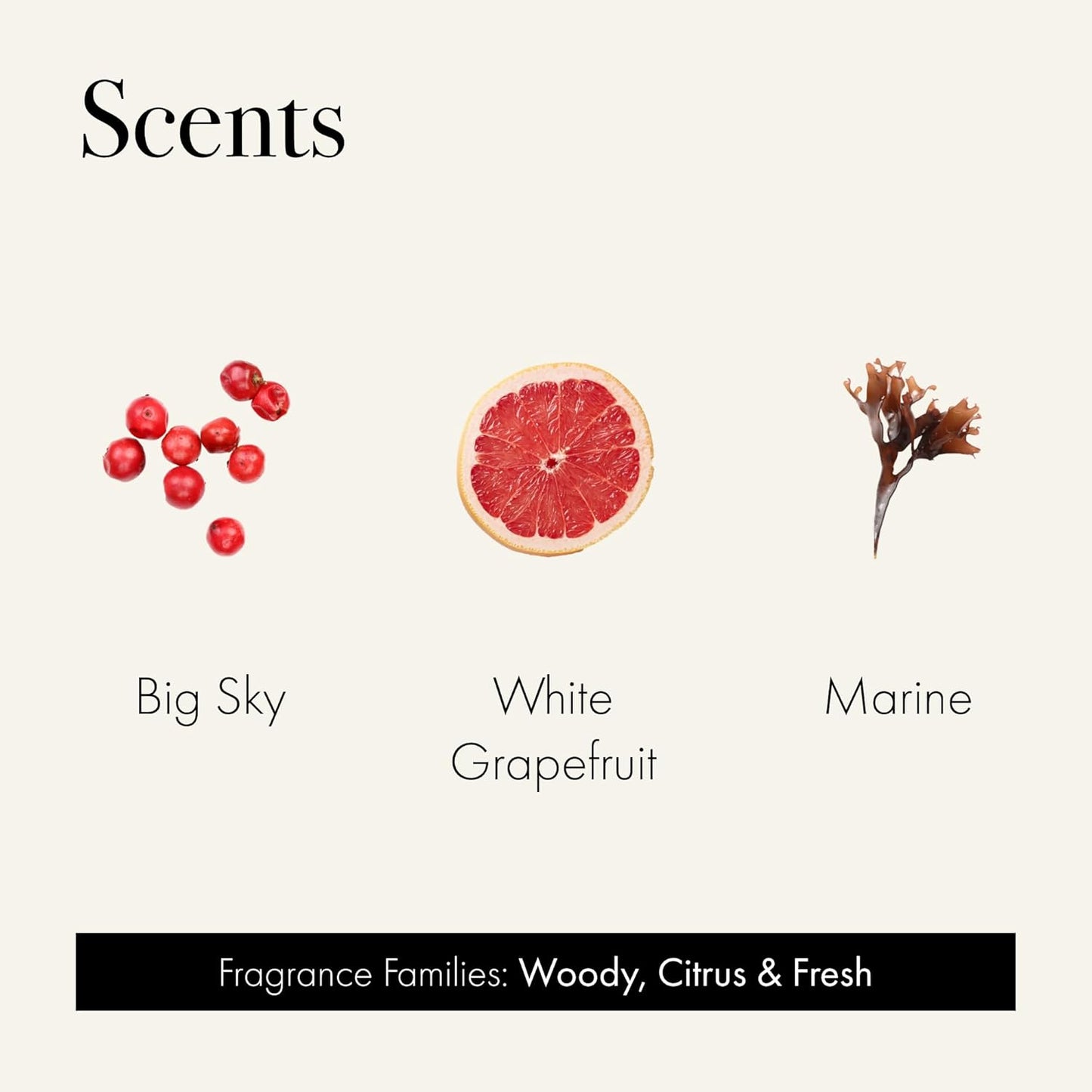 Discovery Trio Founder’s Picks: Big Sky, White Grapefruit & Marine - 3 Fragranced Candle Sample Tins - 4-Hour Burn Time Each - Made in The USA