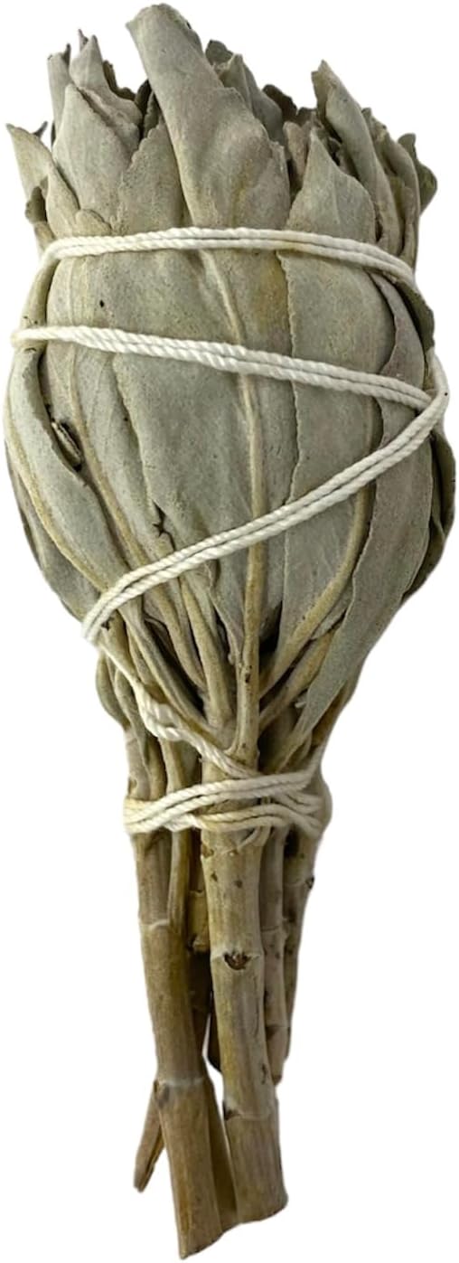 NessaStores 40 California White Sage Smudge Sticks, 3 to 4 Inch Hand Tied, All Natural for Home Cleansing, Stress Relief, & Clearing Negative Energy JC-005