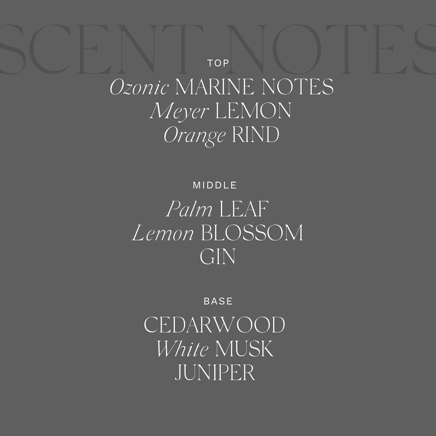 Antica Farmacista Home Ambiance Diffuser - Long-Lasting Reed Scent Diffuser - Luxury Room Freshener Gift - Wave, 10.8 fl oz