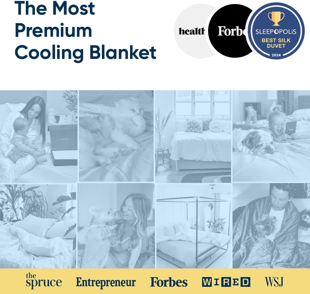Vesta Washable Silk Lightweight Comforter, Cooling Blanket for Hot Sleepers, 100% Long Staple Mulberry Silk, Moisture & Thermal Control for Summer Use (Ivory Slate, Full/Queen 90'' X 90'')