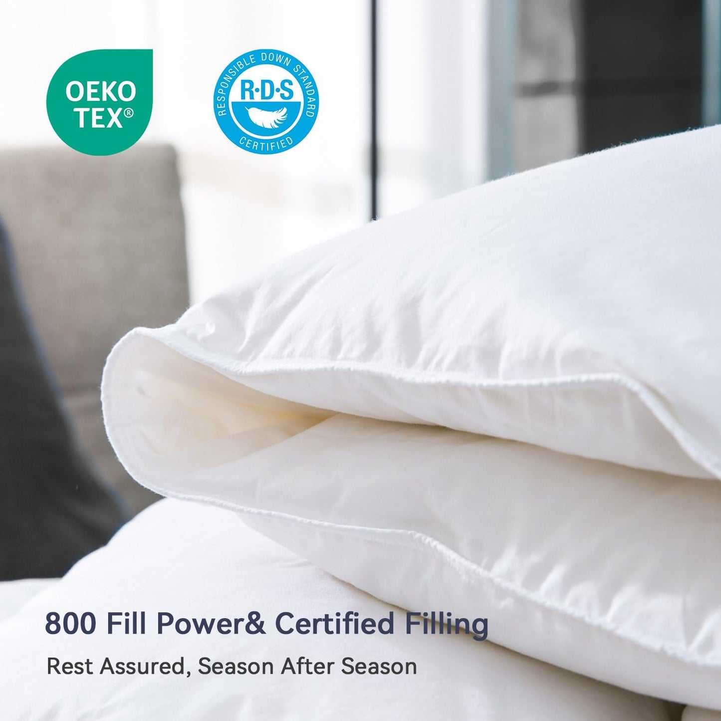 Globon Goose Down Comforter Queen Size All Season Down Duvet Insert,400 Thread Count Ultra Soft Noiseless Shell,800 Fill Power with Corner Tabs,White
