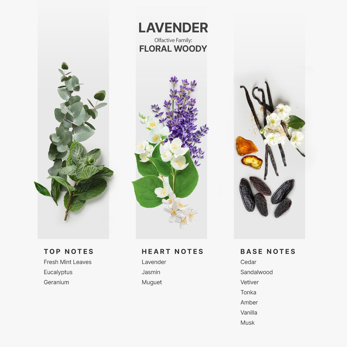 AromaPlan Hotel Scents Lavender 5 Fl Oz (148ml), Home Luxury Aroma & Hotel Fragrance Diffuser Oil- Hotel Diffuser Oil for Aromatherapy- USA Made, Bigger Bottle, Bolder Aroma & Longer Lasting