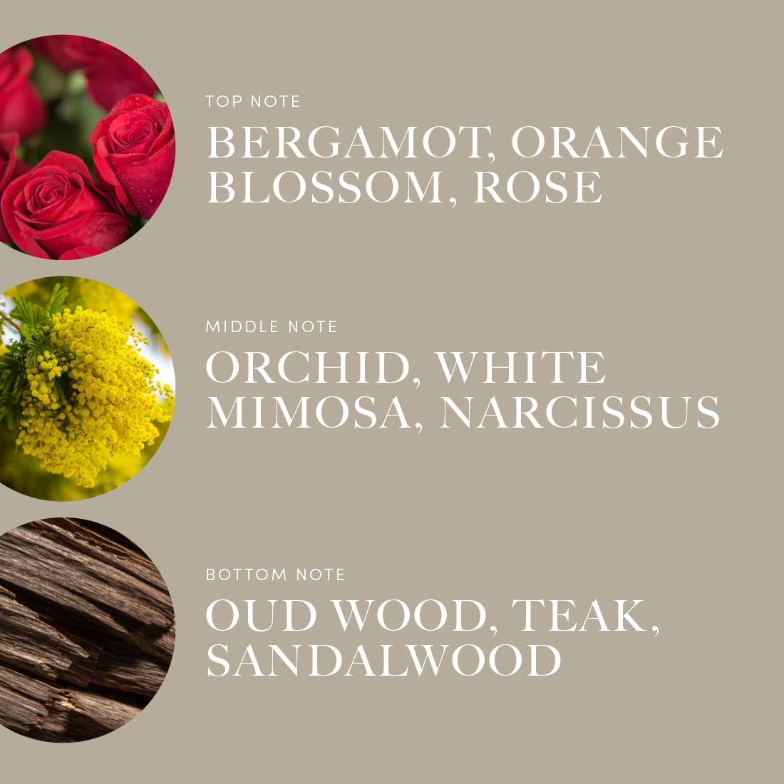 Aroma360 | Disney | A Whole New World Fragrance Oil Blend | Aladdin| Princess Jasmine | Luxury Essential Oil Diffuser | Aromatherapy Scent Diffuser Oil | Orange, Aldehydes & Jasmine 16.9 fl oz, 500mL