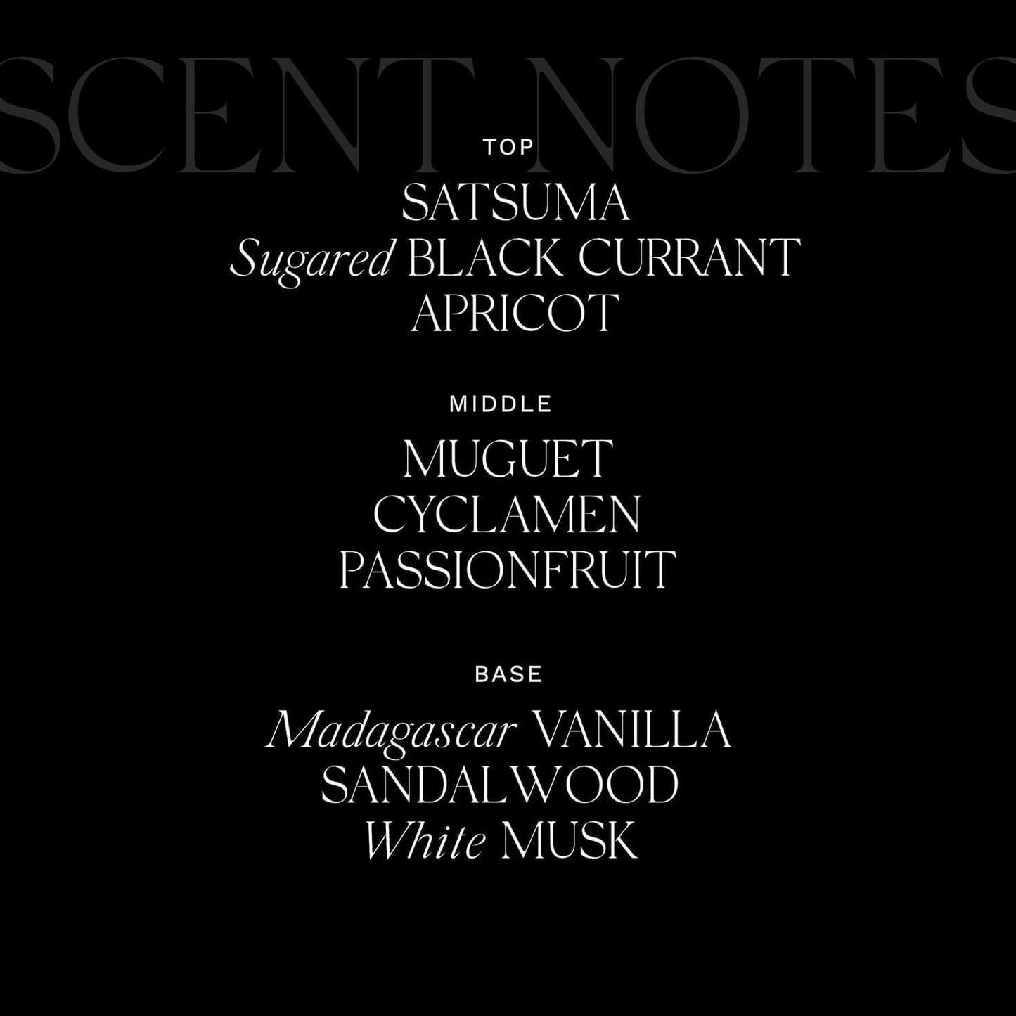 Antica Farmacista Three-Wick Candle - Decorative Home Candle - Long-Lasting & Premium Scented - Luxury Gift - Prosecco Black, 25 oz