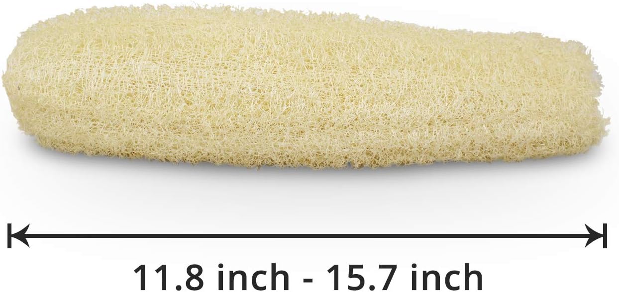 Natural Organic Loofah Sponges Large Exfoliating Shower Bath Loofah Luffa Loofa Body Scrubbers Sponges for SPA Beauty Bath and Radiant Skin, Pack of 4