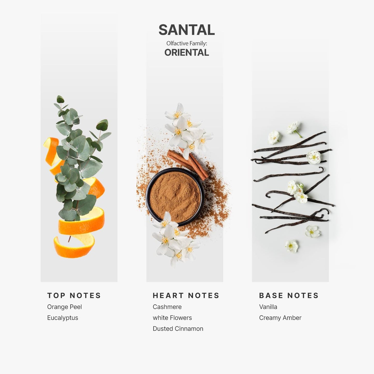 AromaPlan Hotel Scents Santal 16 Fl Oz 2 Pack (946ml), Home Luxury Aroma & Hotel Fragrance Diffuser Oil- Hotel Diffuser Oil for Aromatherapy- USA Made, Bigger Bottle, Bolder Aroma & Longer Lasting