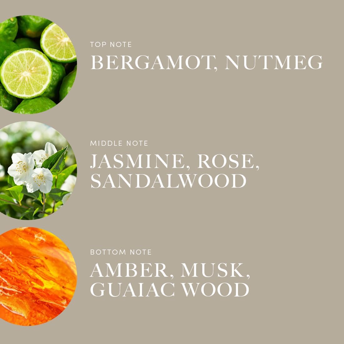 Aroma360 | Disney Reflection Fragrance Oil Blend | Disney Princess Mulan | Luxury Essential Diffuser Oil | Aromatherapy Scent Diffuser Oil | Bergamot, Nutmeg and Jasmine 16.9 fl oz 500mL