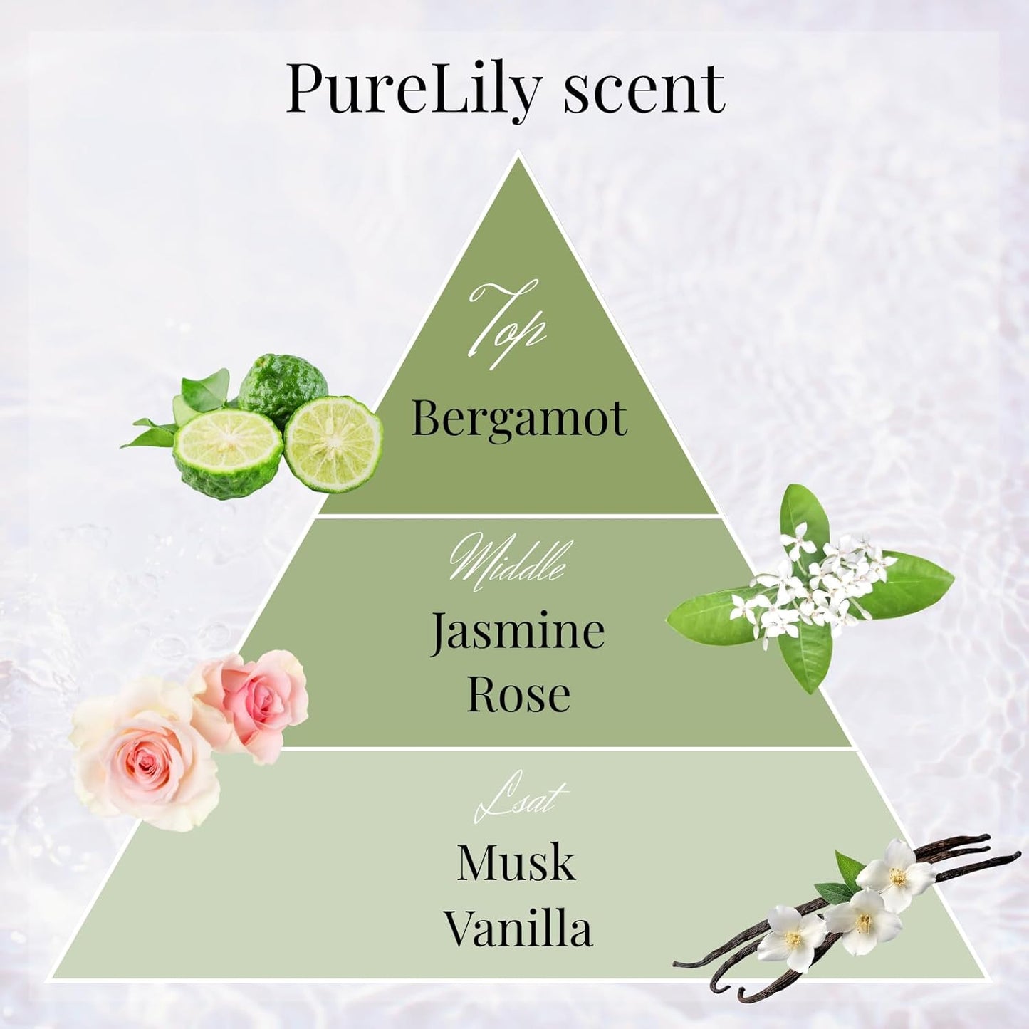 Luxury Japanese Incense Sticks 60sticks Pure Lily Bergamot Vanilla Jasmine Coreless Low Smoke Natural Charcoal Free Non Toxic Aromatherapy Meditation Calming Stress Relief Relaxation Yoga TOMORI