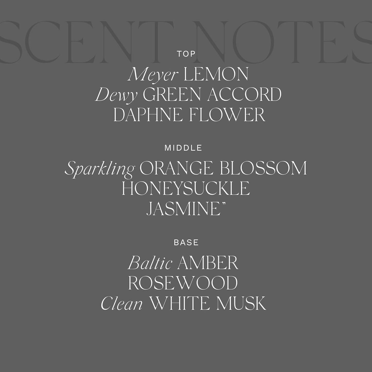 Antica Farmacista Home Ambiance Diffuser - Long-Lasting Reed Scent Diffuser - Luxury Room Freshener Gift - Daphne Flower, 8.45 fl oz